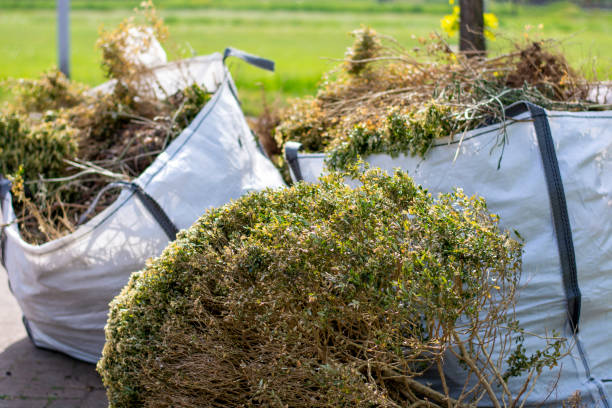 Best Yard Cleanup Services  in Lac Du Flambeau, WI